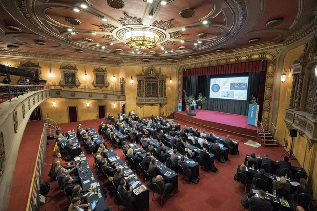 Eierlegendewollmilchsau 