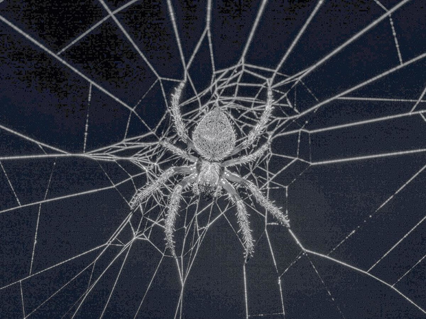 Large format printing is de spin in het web 