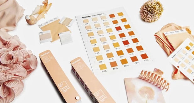 Peach Fuzz est la couleur Pantone de l'année 2024 