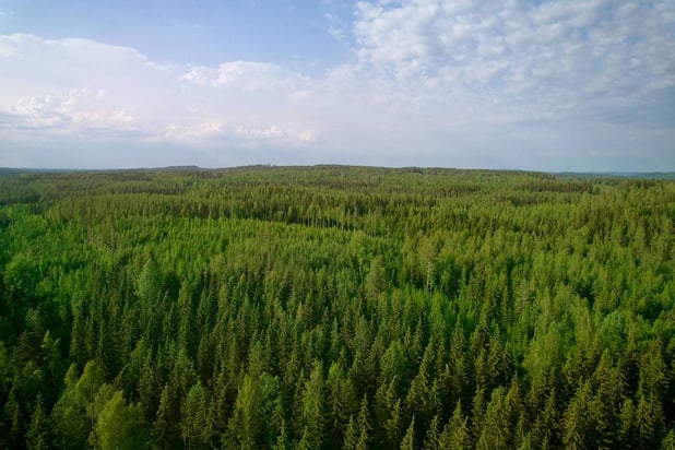 Metsä Board améliore son score EcoVadis