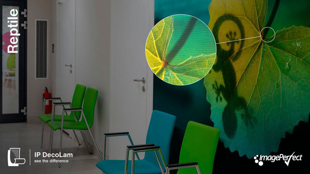 Spandex lance une nouvelle collection de films de pelliculage structurés