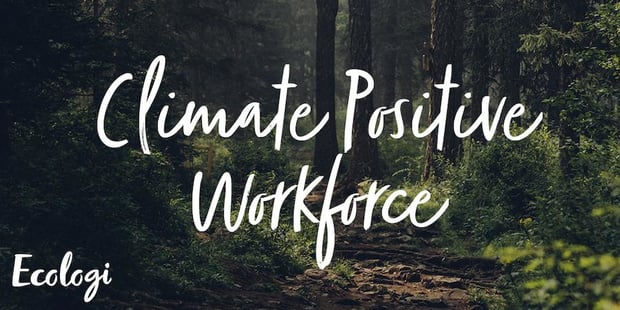 Hybrid Software Group réduit son empreinte carbone avec Ecologi