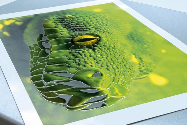 Les effets spéciaux, formidable levier de croissance 