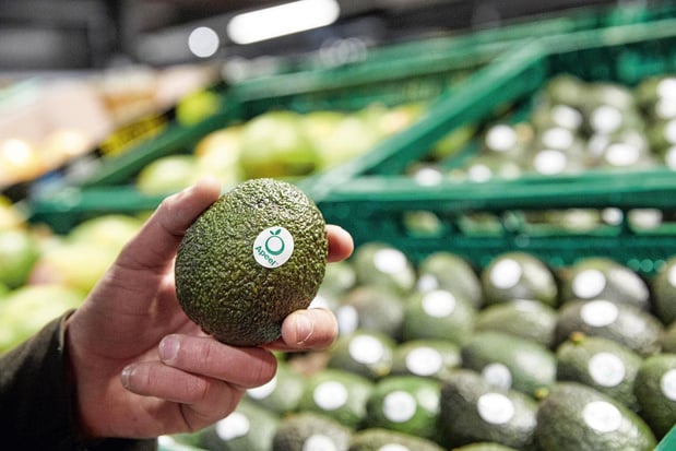 Les avocats comestibles jusqu'à deux fois plus longtemps 