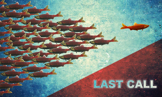 Des journées portes ouvertes chez Igepa !